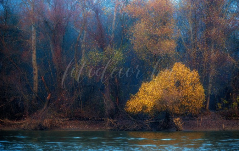 Daróczi Csaba - Ősz a folyónál